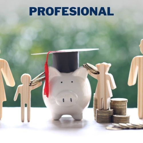 PROFESIONAL